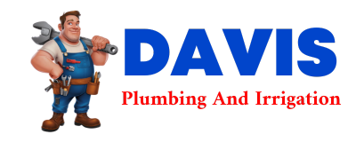 Trusted plumber in RAVINE